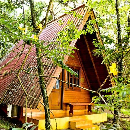 Hotel Vila Dos Alpes Treze Tílias Екстериор снимка